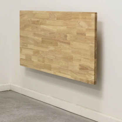 Wall Mounted Folding Workbench