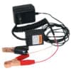 2 Piece Automatic Battery Float Charger