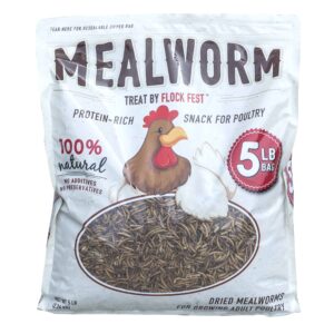 5 Lb Bag Dried Mealworms