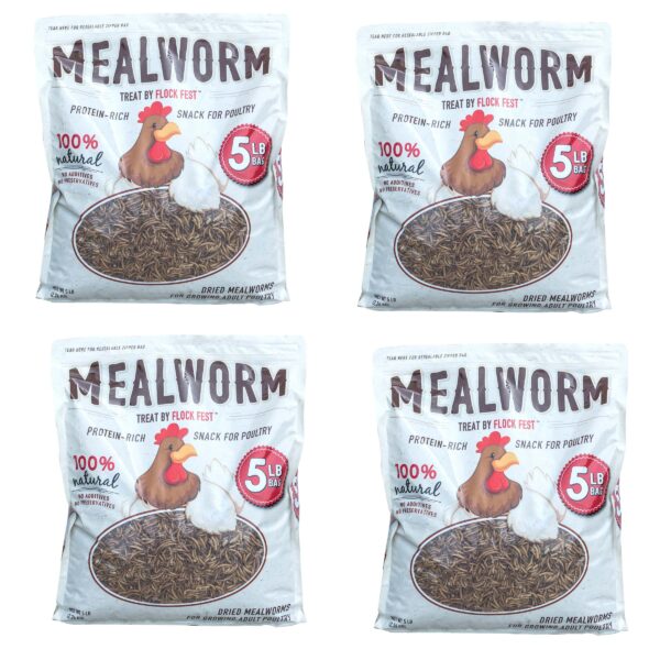 Dried Mealworms for Chickens, Wild Birds, Ducks - 20 Lbs
