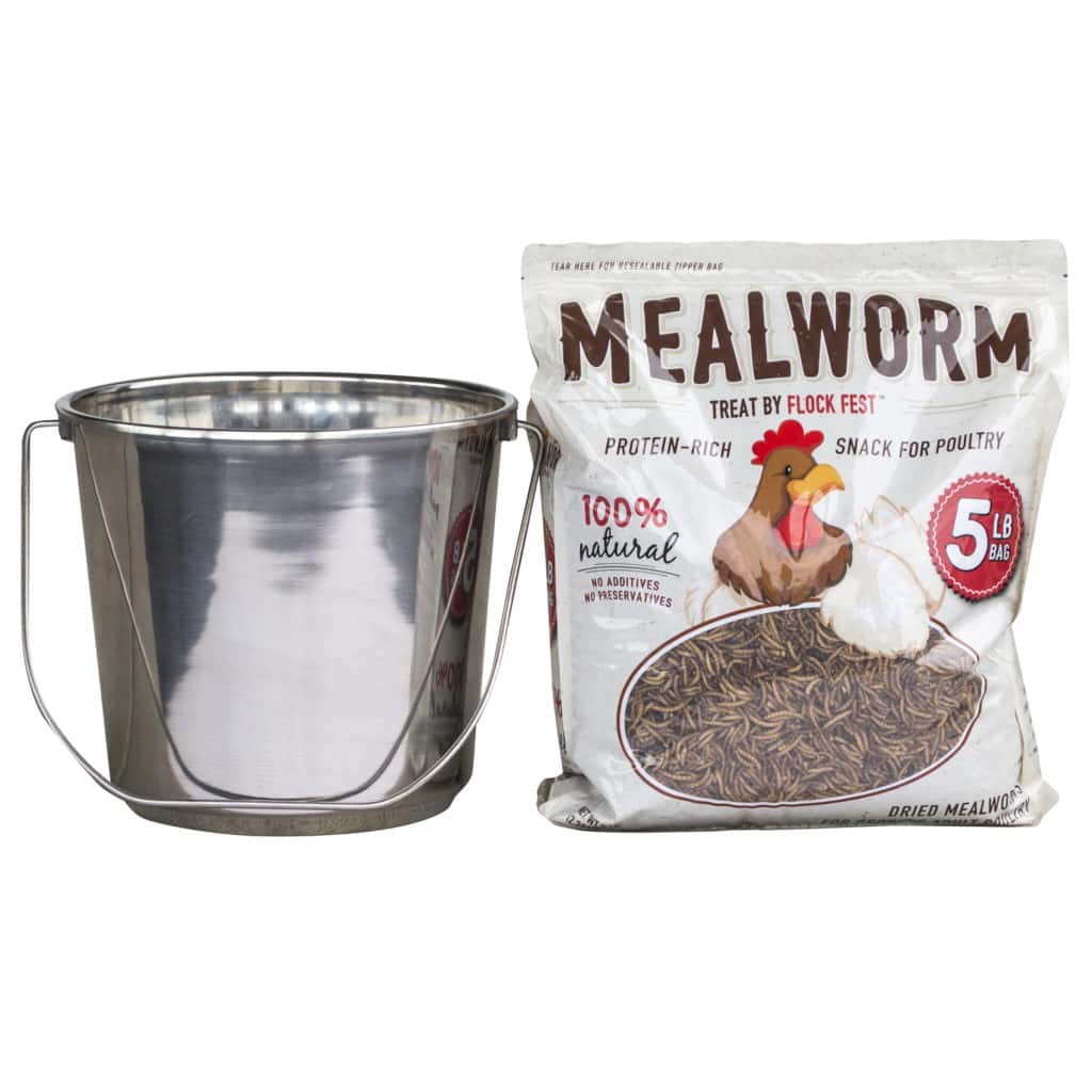 5 lbs. Bag Dried Meal Worms with Stainless Steel Feeder Bucket