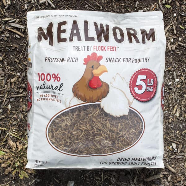 5 Lb Bag Dried Mealworms for Chickens, Wild Birds, Ducks - Buffalo Outdoor