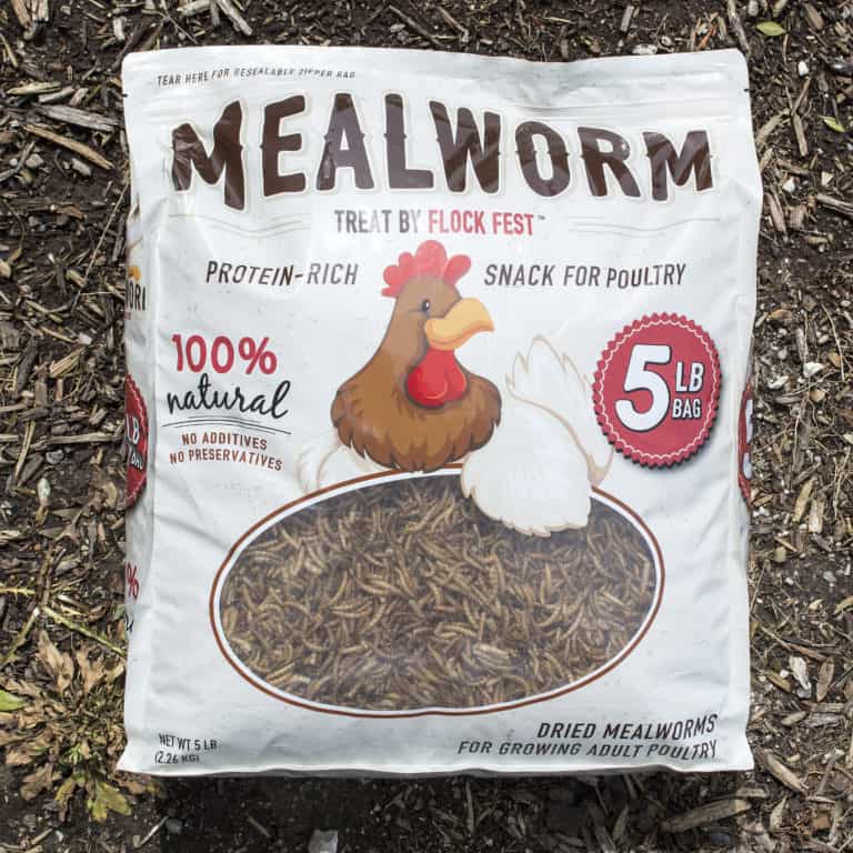 5 Lb Bag Dried Mealworms for Chickens, Wild Birds, Ducks - Buffalo Outdoor