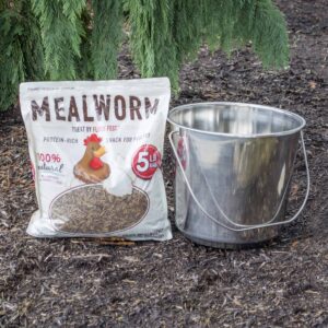 Dried Meal Worms 5 lbs. Bag