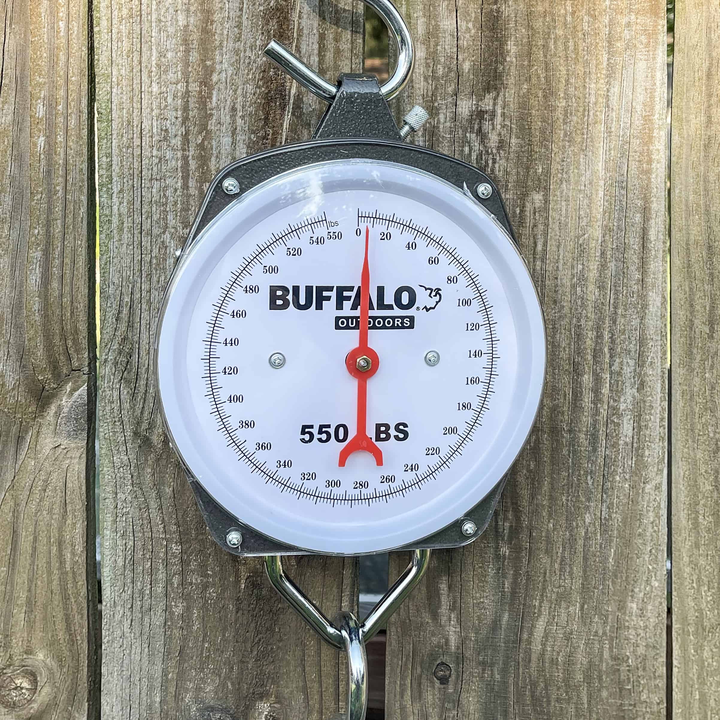 Buffalo Outdoor 550 Pound Capacity Hanging Scale