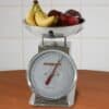 Stainless Steel Dial Scale