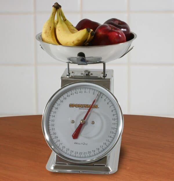 Stainless Steel Dial Scale