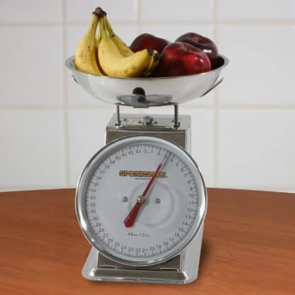 44 Lb Stainless Steel Dial Scale