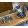 Double Pet Feeder - Acacia Wood