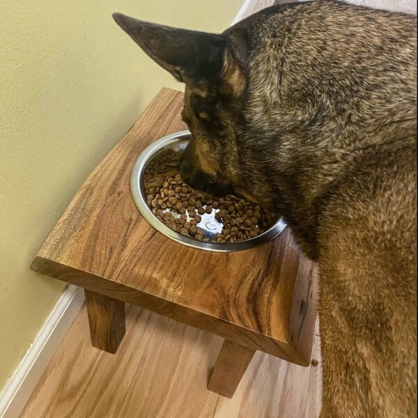 Pet Feeder Bowl