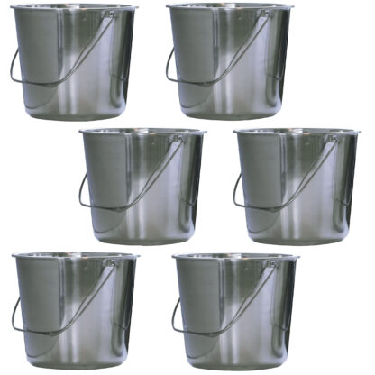 Gallon Stainless Steel Bucket