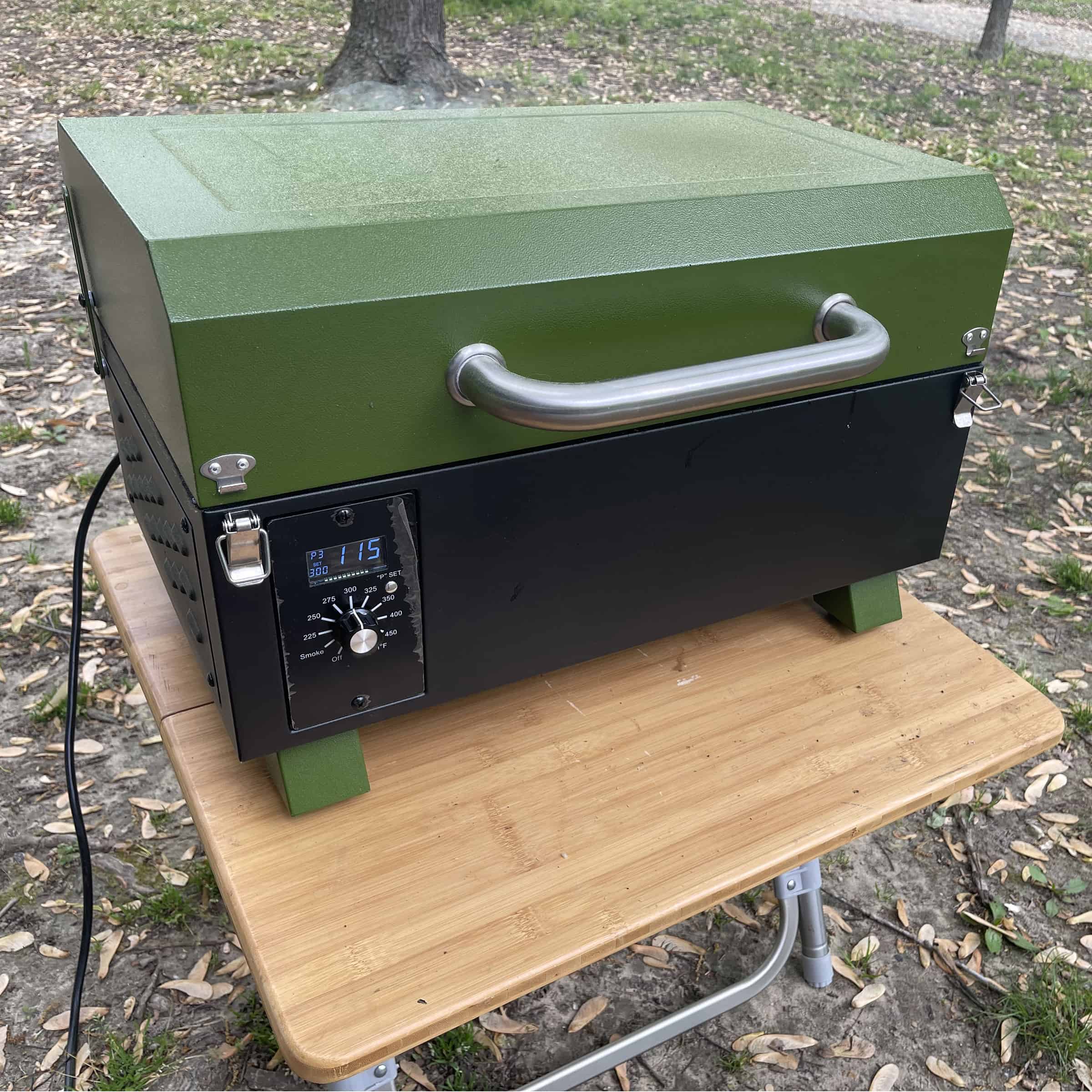 Buffalo Outdoor Pwpg256 Portable Electric Start Wood Pellet Grill, Green