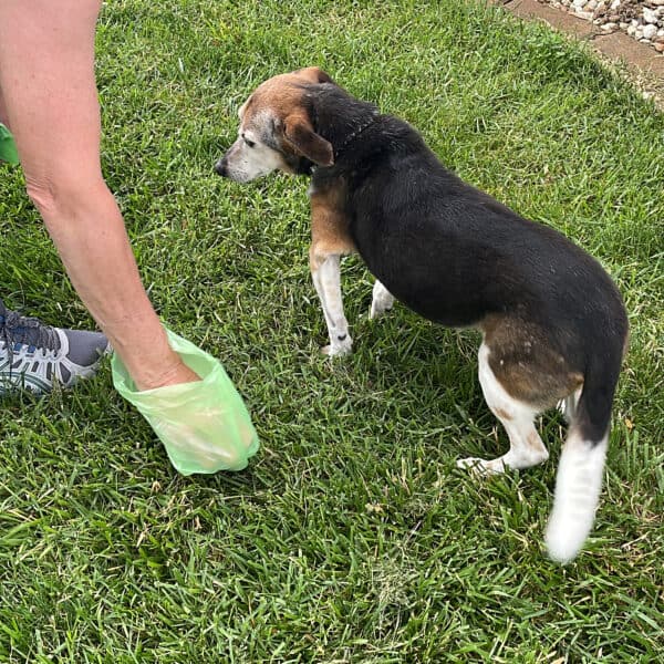 Pet Poop Bags