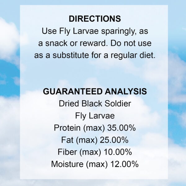 Black Soldier Fly Larvae