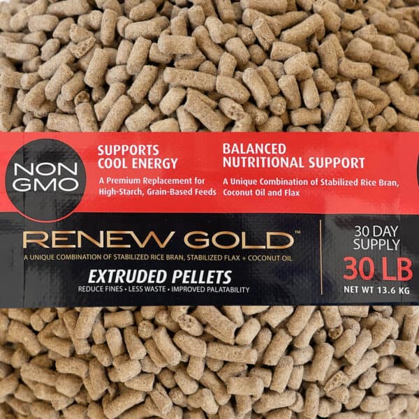 Renew Gold Equine Nutrition