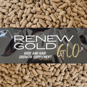 Renew Gold GLO Hoof Mane & Tail