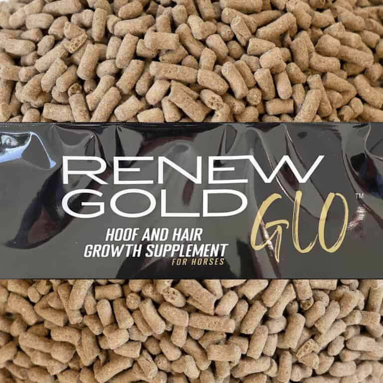 Renew Gold GLO Hoof Mane & Tail