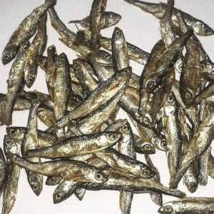 Dried Minnows Mealworms and Shrimp