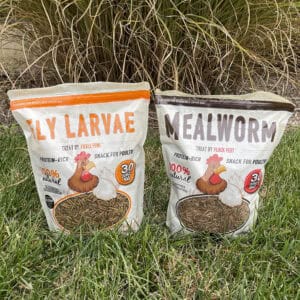 2 Pack Mealworms/Black Soldier Fly Larvae 30 oz Bags