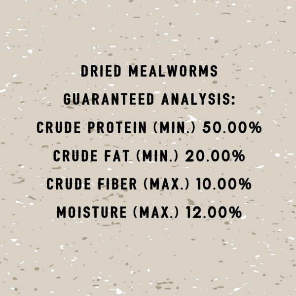 10 oz Bag Dried Mealworms