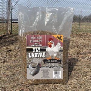 Mother Pluckin Fly Larvae