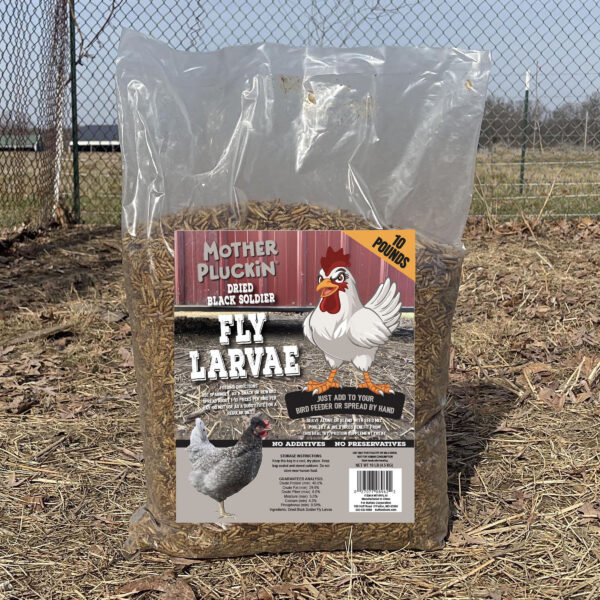 Mother Pluckin Fly Larvae