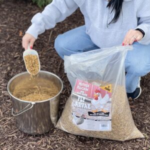Mother Pluckin Fly Larvae